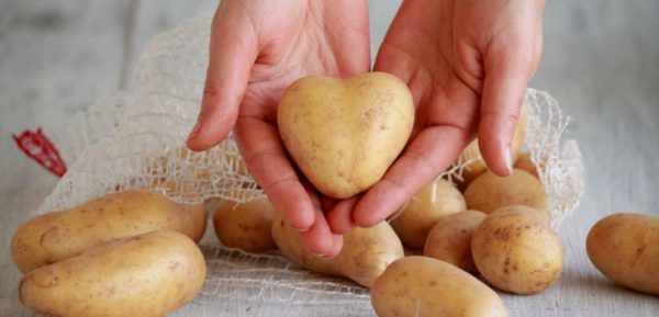 potato-ice-cubes