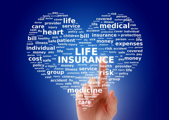 Everything You Need To Know About Term Insurance Plans in India