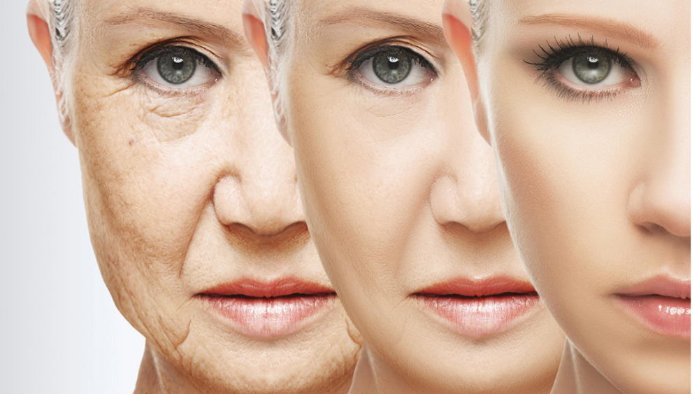 anti-aging