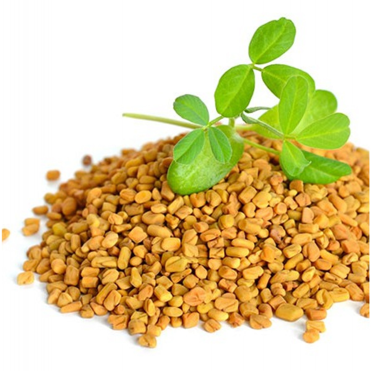 Top 5 Health Benefits Of consuming Fenugreek Seeds