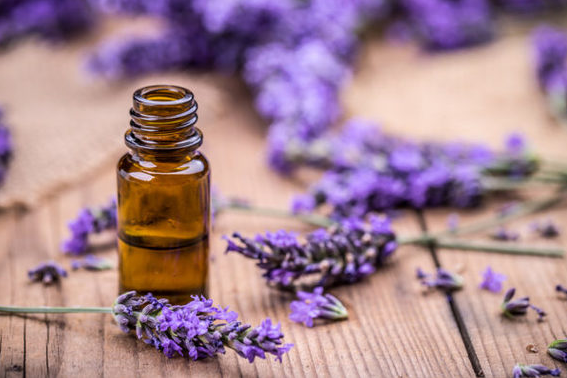 5 Best Essential Oils For Anxiety